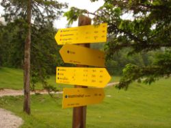 2013-06-22_Hirschhoerndl_Jochberg (263).JPG